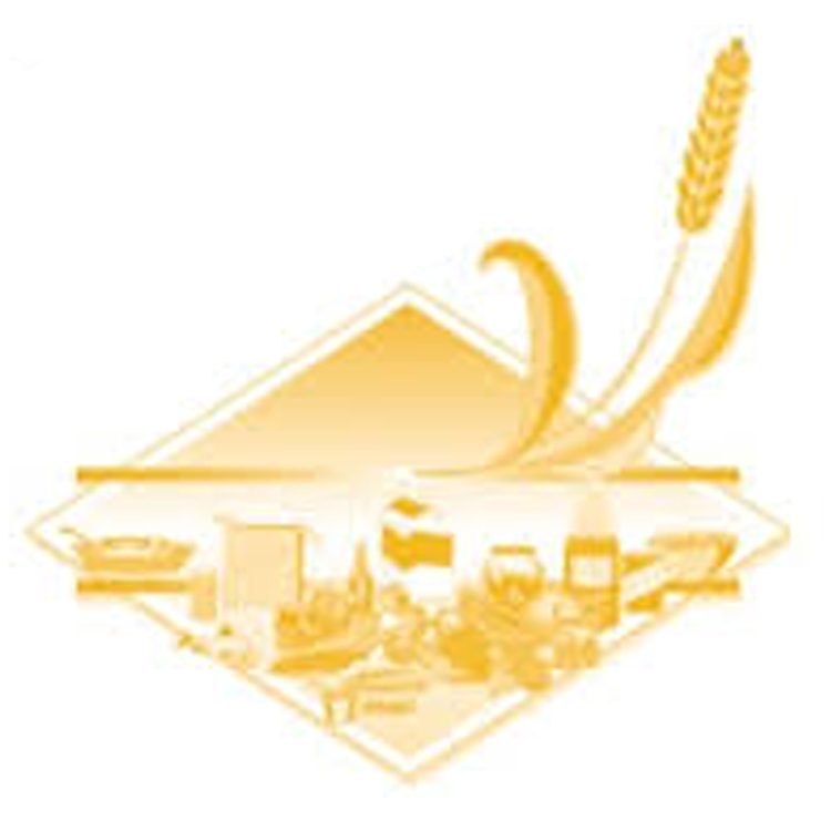 Government Logo